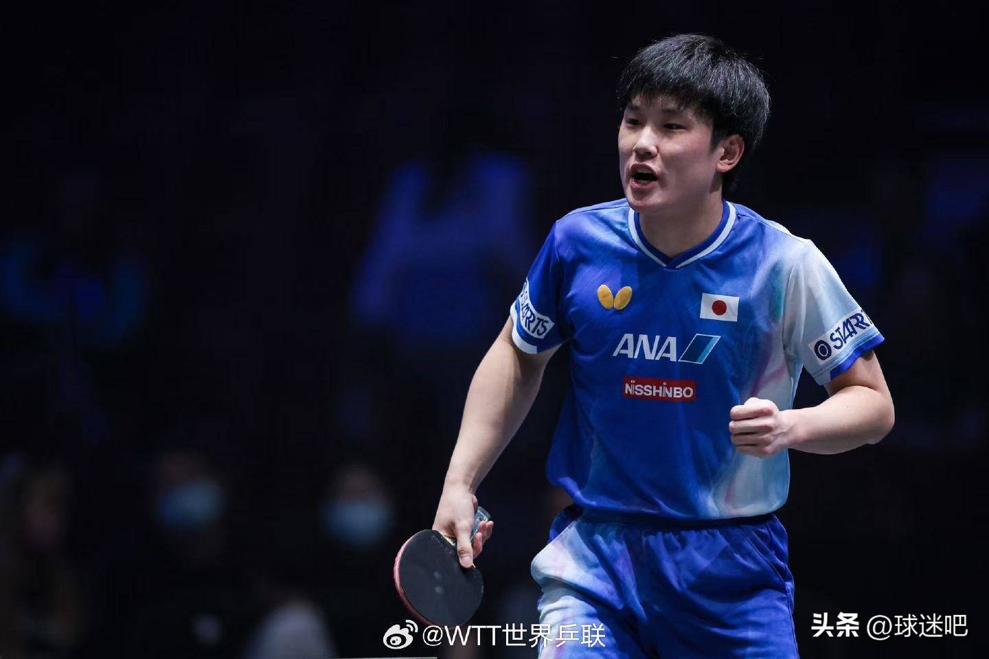 法国队绝杀波兰队，张本智和带队取胜