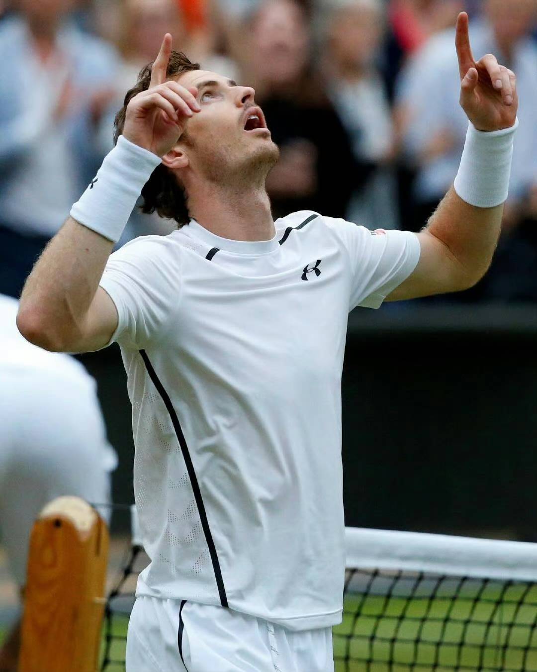 温网绝杀澳网，穆雷关键制胜